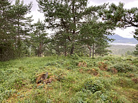 ØyvindBergkvam_20210826_6127999eab3be.jpg