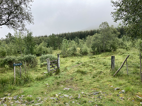 Stien er skiltet fra kjerreveien som går forbi Syltesetra