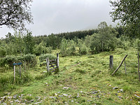 ØyvindBergkvam_20210826_61279f12243a9.jpg