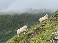 ØyvindBergkvam_20210826_61279f1602e36.jpg