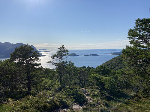 Her har jeg kommet opp den første brattstigningen og kan nyte turen i flott furuskog videre mot toppen