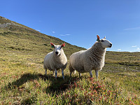 ØyvindBergkvam_20210915_61421c7607d3b.jpg
