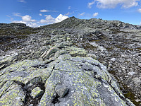 ØyvindBergkvam_20210915_61421c784854f.jpg