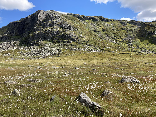 Fra Holmøyskaret gikk jeg bratt opp mot Holmøyskareggi omtrent midt i bildet