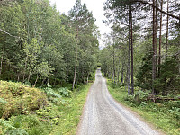 ØyvindBergkvam_20210915_61422021e07b1.jpg