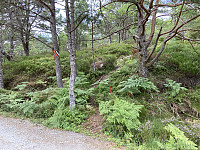 ØyvindBergkvam_20210915_61422026c4ed7.jpg