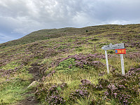ØyvindBergkvam_20210916_614352a855617.jpg