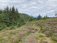 ØyvindBergkvam_20210916_614384968f41d.jpg