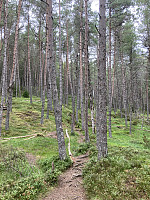 ØyvindBergkvam_20210916_614384997bbdf.jpg