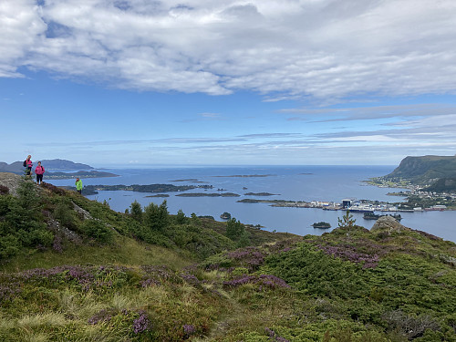 Utsikt nordover fra Høgåsen