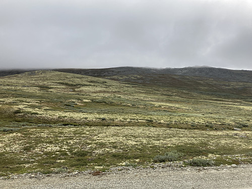 Ruta mi gikk over 1385-toppen på bildet og opp mot tåka bak denne.