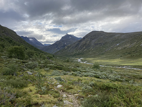 Fin sti på vei innover Storådalen. Tilbakeblikk mot Nørdre Svartdalspiggen midt i bildet