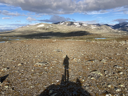 "Selfie" på toppen