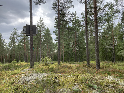 Kukollen, høyeste punkt