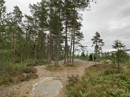 Bergeråsen i Lillestrøm