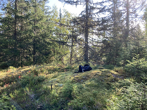 Toppunktet på Abboråsen i Hole