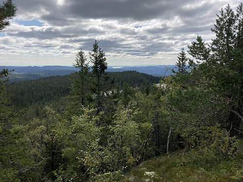 Gyrihaugen Sør sett fra nedstigningen fra Gyrihaugen