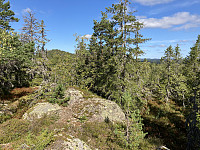 ØyvindBergkvam_20211011_616434e74258b.jpg