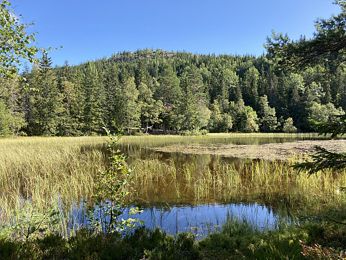Gyrihaugen sett fra Migartjern