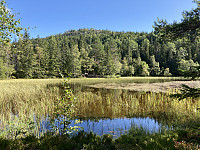 ØyvindBergkvam_20211011_616434ed0f859.jpg