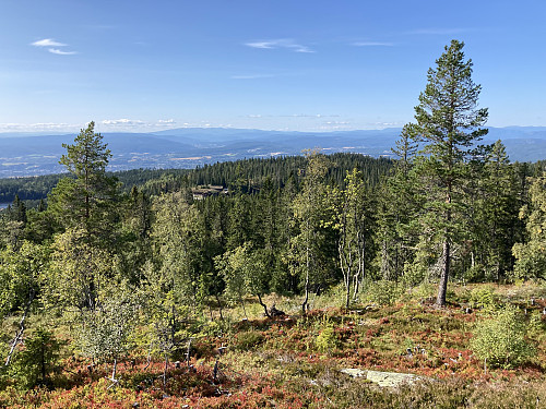 Ringkollstua sett fra toppen