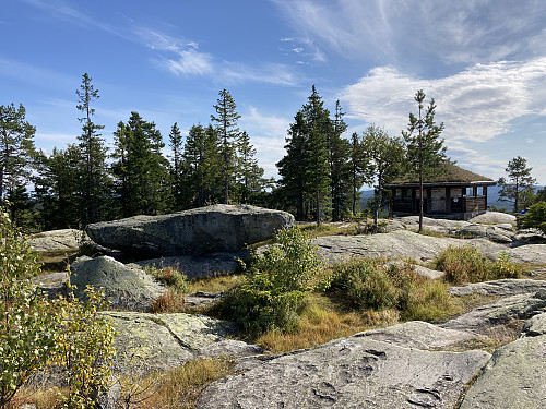 Toppartiet på Ringkollen i Ringerike