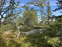 ØyvindBergkvam_20211011_61643afee4c95.jpg