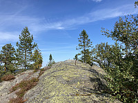 ØyvindBergkvam_20211011_61643b01738e3.jpg