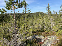ØyvindBergkvam_20211011_61643b063e89f.jpg