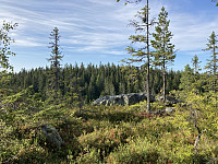 ØyvindBergkvam_20211011_61643b086b1ea.jpg