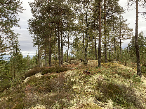 Veslesjølen 284 moh i Lillestrøm