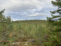 ØyvindBergkvam_20211013_6166b0916ae8d.jpg