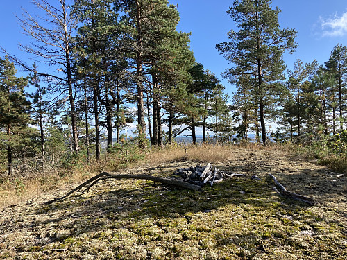 Toppen av Barlindåsen i Porsgrunn