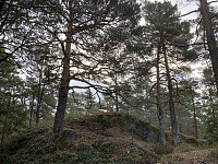 ØyvindBergkvam_20211015_61699e1f12c10.jpg