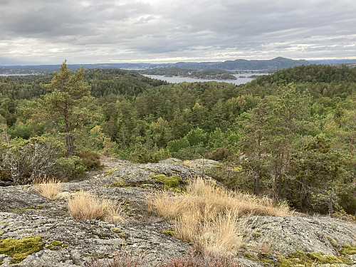Utsikt fra Fløyfjellet (103 moh) som ligger omtrent midt på øya.