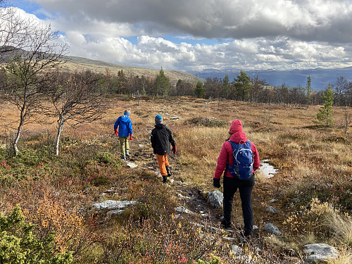 Godt driv tilbake mot hytta