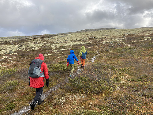 Gjengen på vei opp mot Formokampen