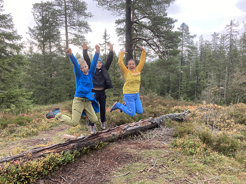 Toppunktet på Gjelleråsen 324 moh