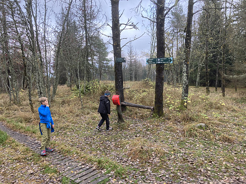 SØ for toppen er det satt opp skilt om at stedet på 311 moh er Gjelleråsens høyeste punkt, dette er feil!
