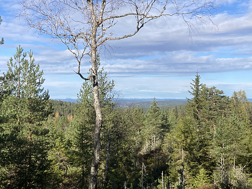 Utsikt nordover fra Trøkkpå.