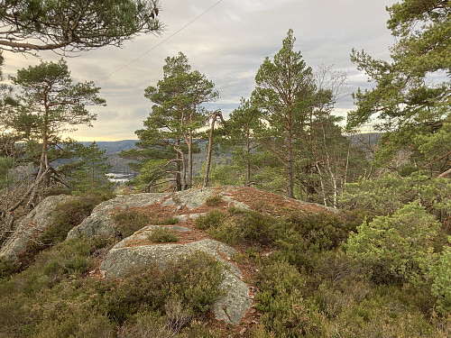 Toppkollen ligger litt innenfor utsiktspunktet. Stien fører helt frem hit.