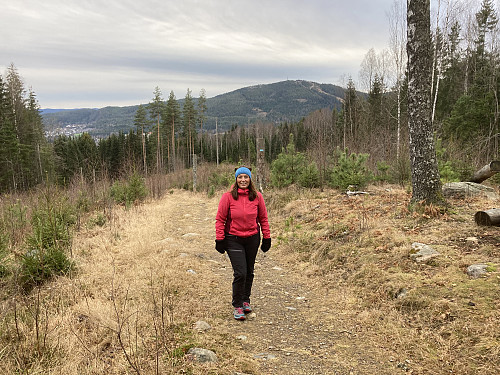 Fin utsikt fra stien på vei oppover. Varingskollen i bakgrunnen