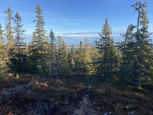 Utsikt fra stien på vei opp til Kjerringfred