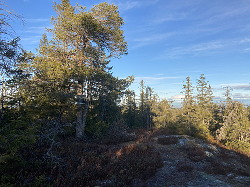Kvitingen i Gran kommune