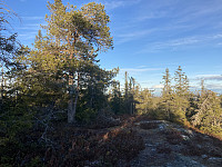 ØyvindBergkvam_20211130_61a638361dce3.jpg