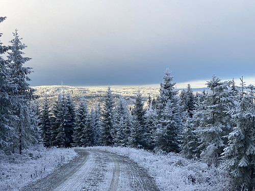 Tilbakeblikk vestover mot Holtberget ved Kongsvinger