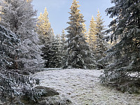 ØyvindBergkvam_20220125_61f0375142dd4.jpg