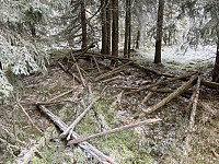ØyvindBergkvam_20220125_61f03752e0531.jpg