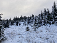 ØyvindBergkvam_20220127_61f2624419c87.jpg