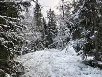 ØyvindBergkvam_20220127_61f26247c1aac.jpg